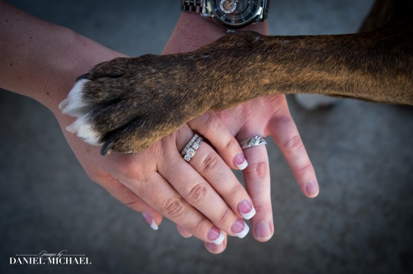 Dog and Ring Bearer