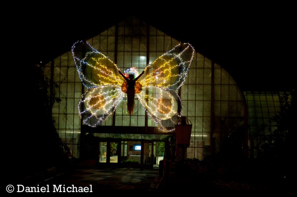 Krohn Conservatory Butterfly Exhibit Wedding