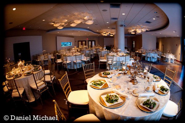 Newport Aquarium Wedding Reception Kentucky