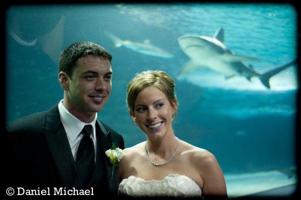 Newport Aquarium Wedding Reception Photos