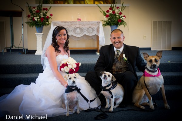 Ring Bearer Dog and Flower Girl Dog