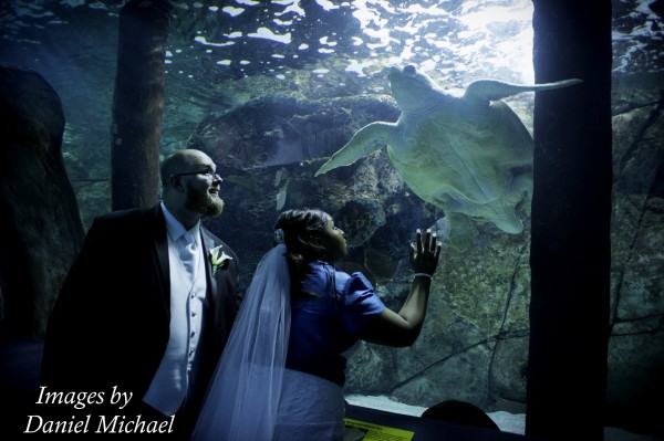 Wedding Photography Newport Aquarium