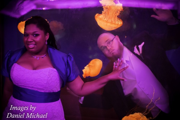 Wedding Photos at Newport Aquarium